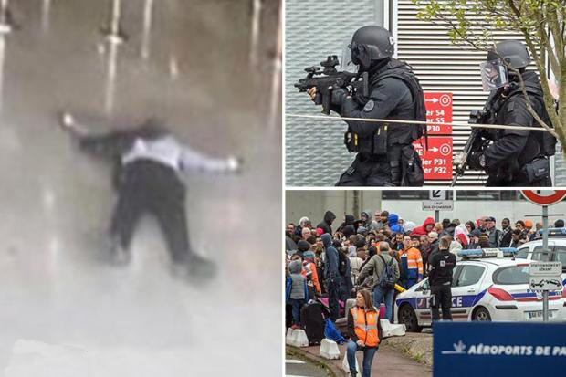Teror di Bandara Orly, Polisi Prancis Tembak Mati Muslim Radikal